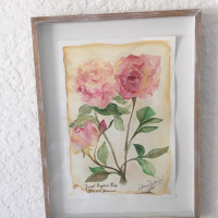 Janel English Rose