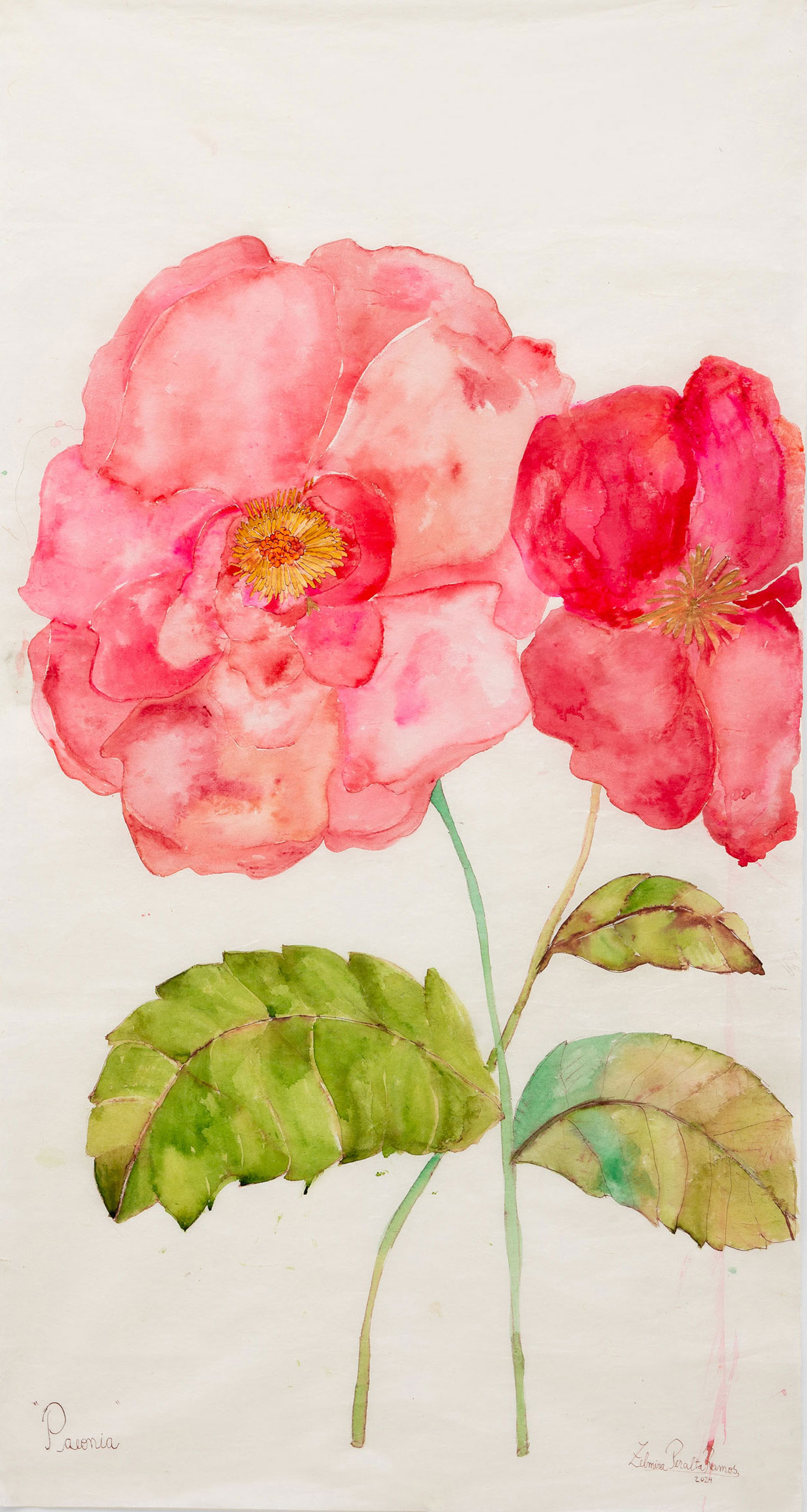 Flores ejemplo 4