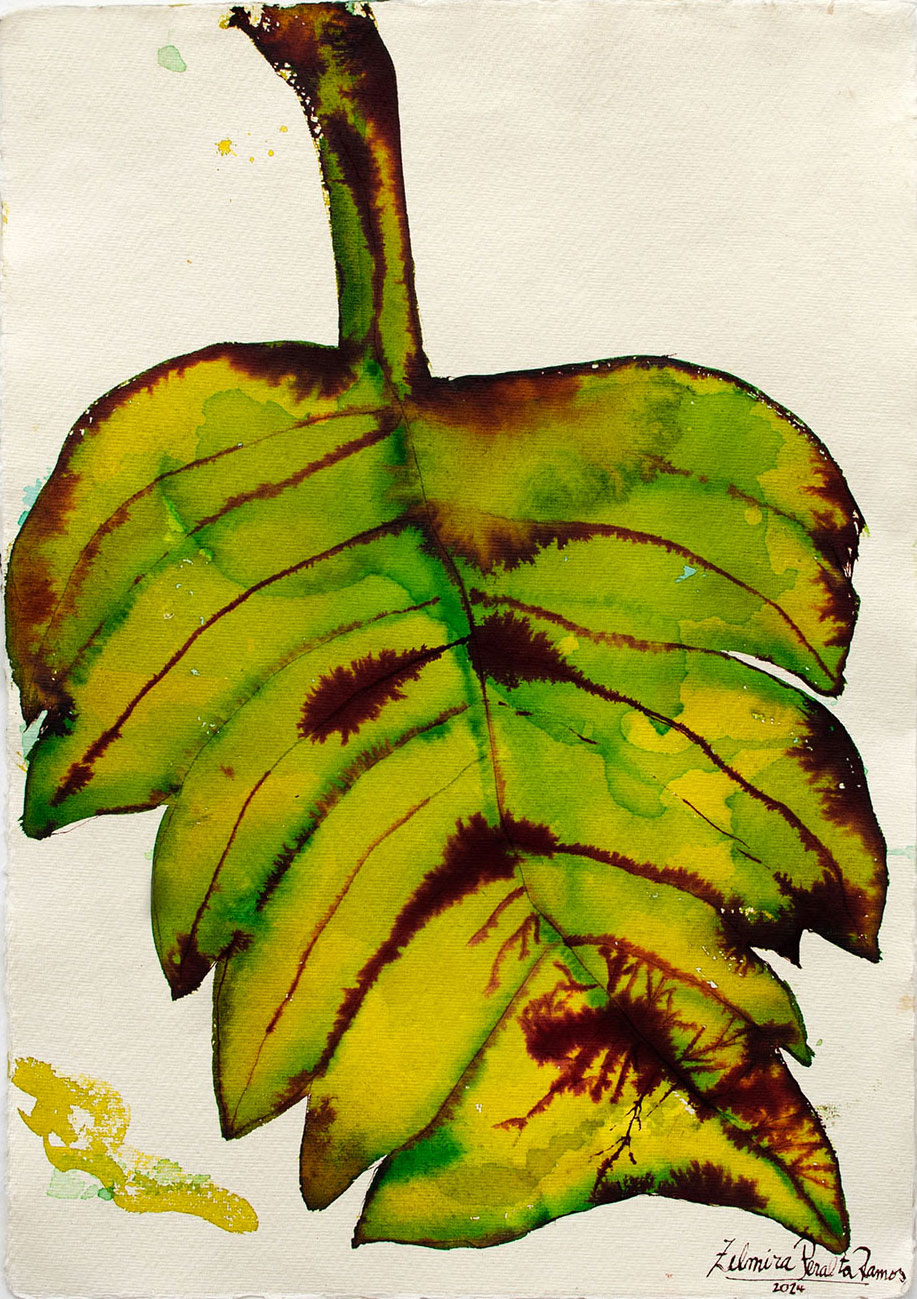 Selva ejemplo 1