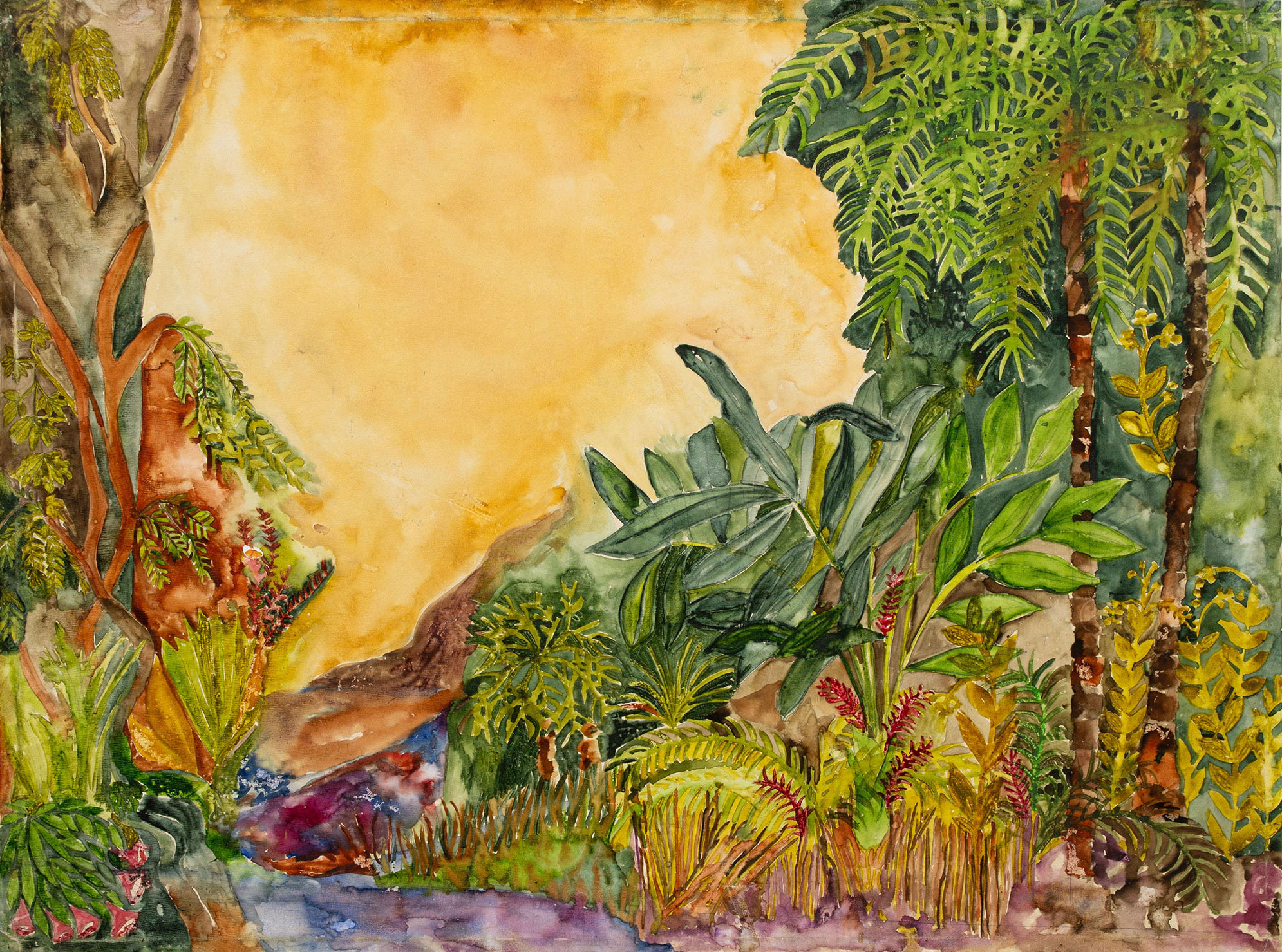 Selva ejemplo 5