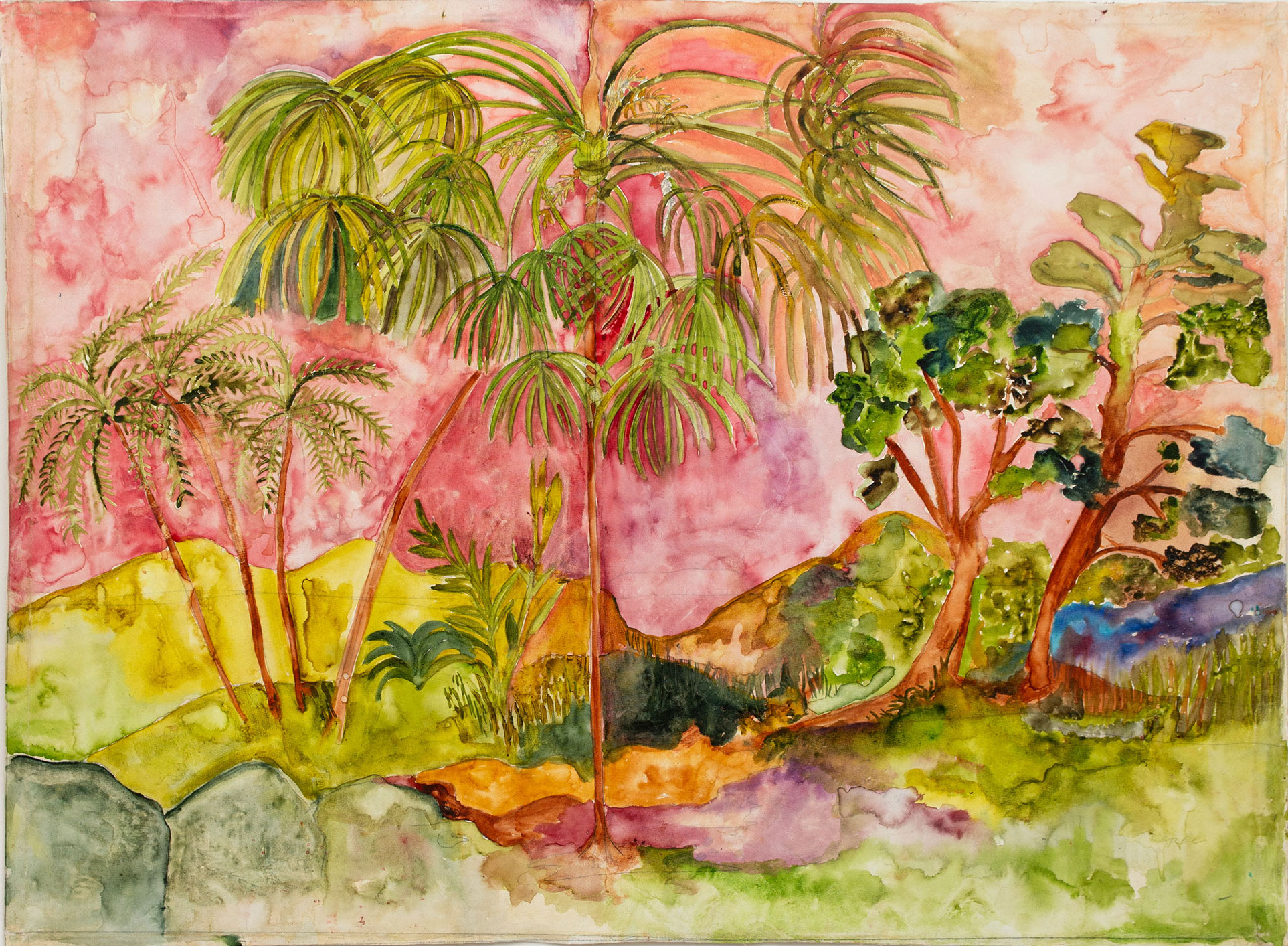 Selva ejemplo 6