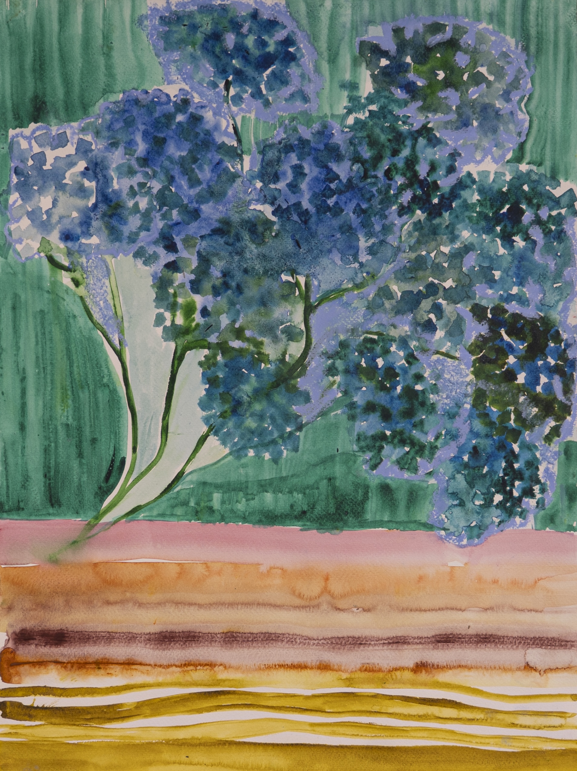 Hortensias