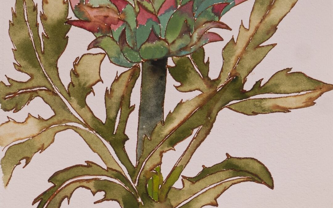 Lineracum Flore