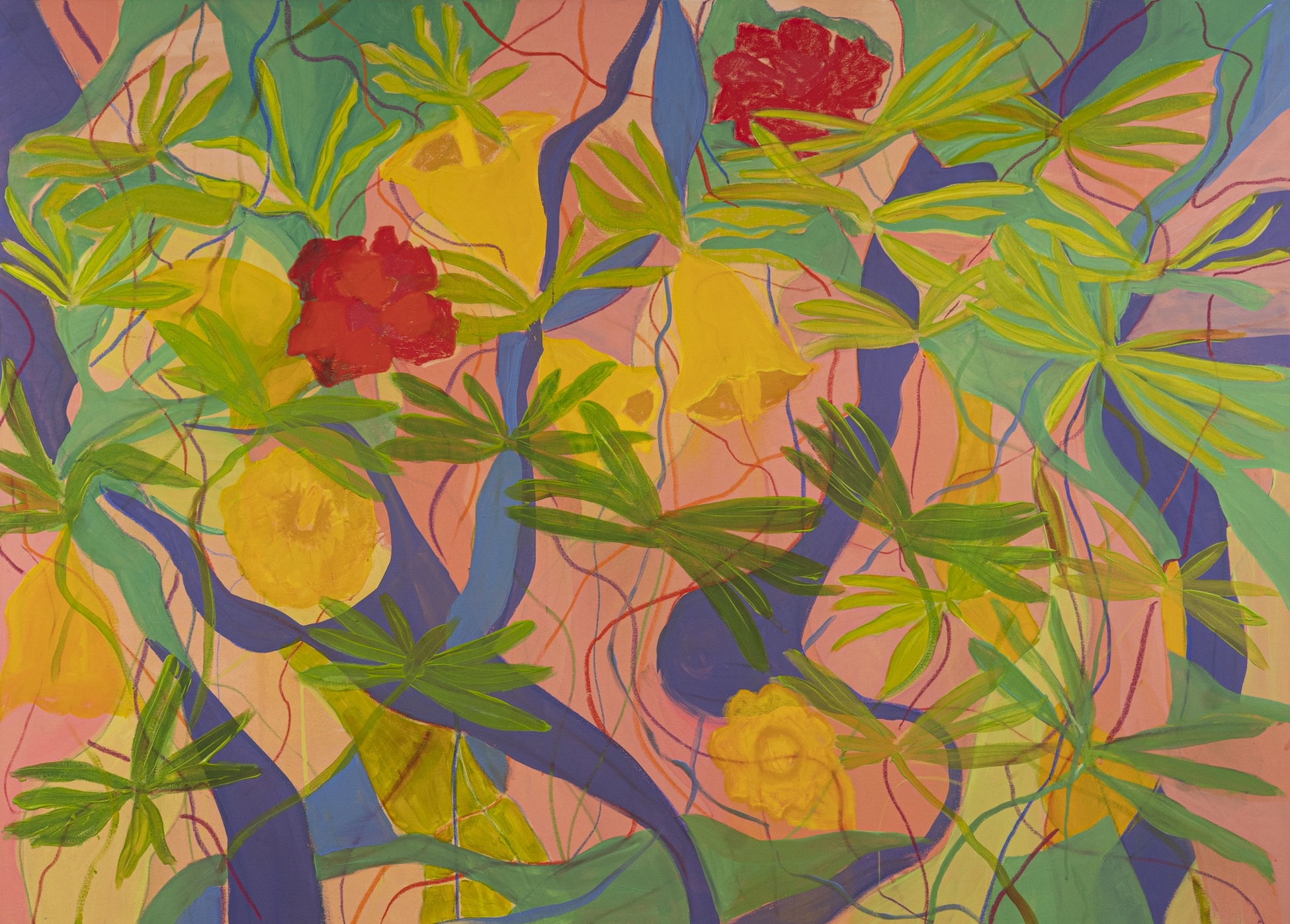 Narcisos