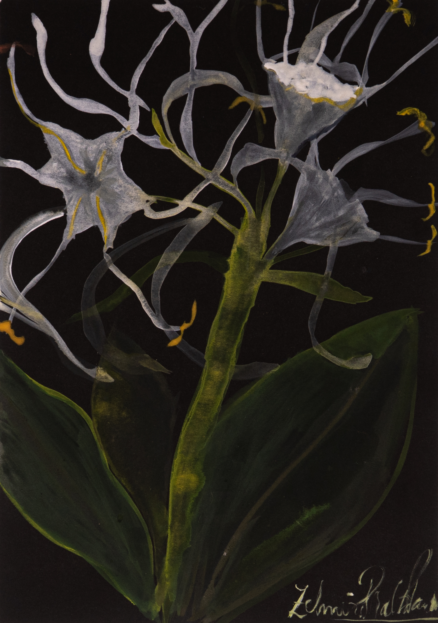 Neuronal