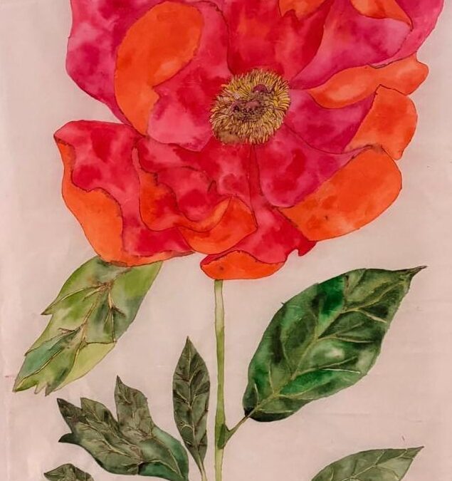Peonia Officialis