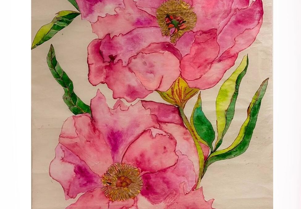 Peonia Broteroi