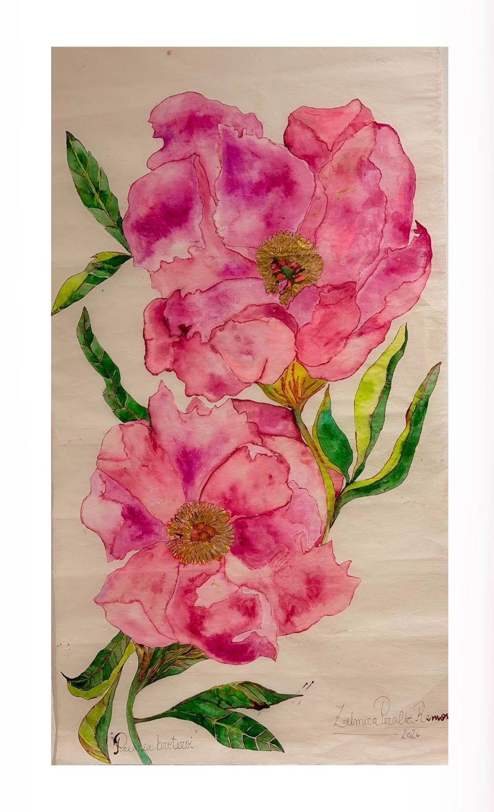 Peonia Broteroi